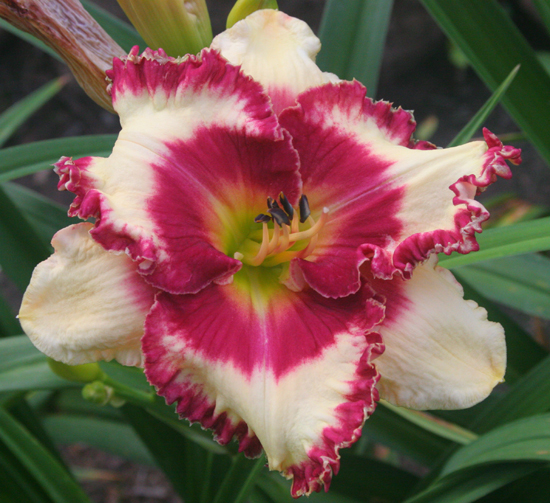 573 Pinewood Gardens