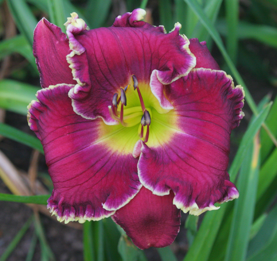 303 (1) Pinewood Gardens