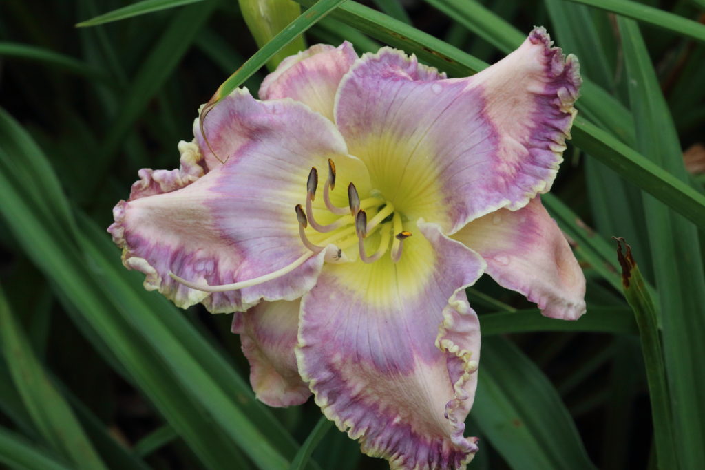 5371 Pinewood Gardens