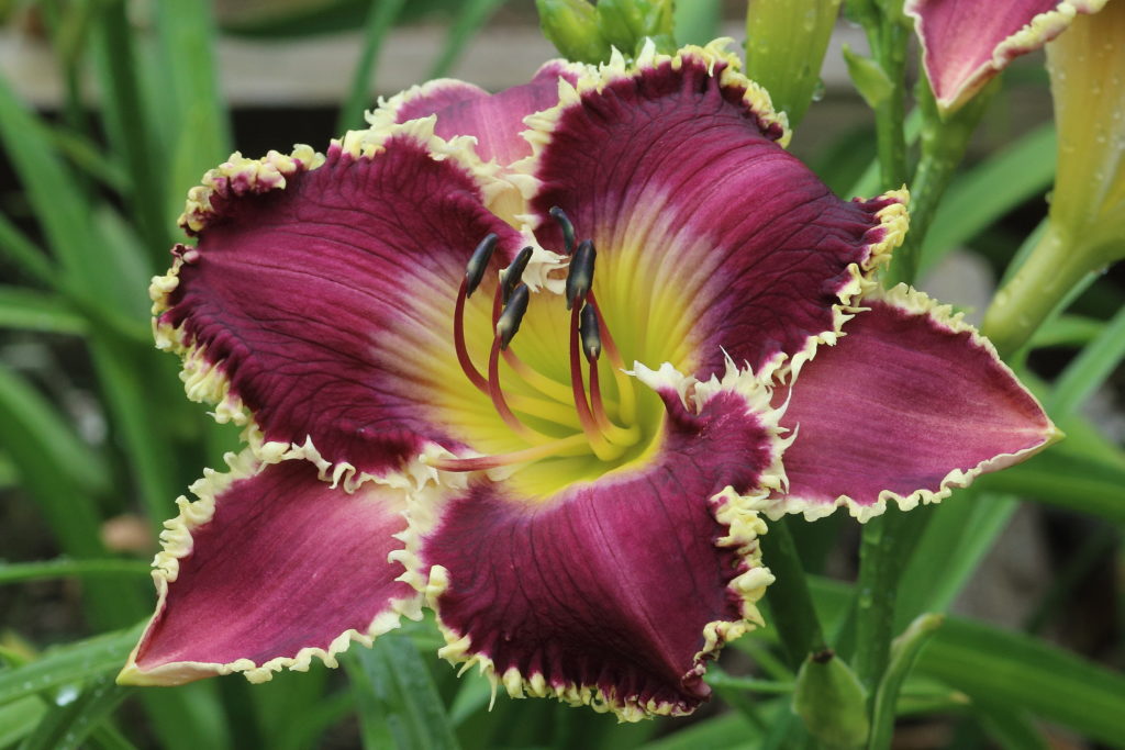 5462 Pinewood Gardens