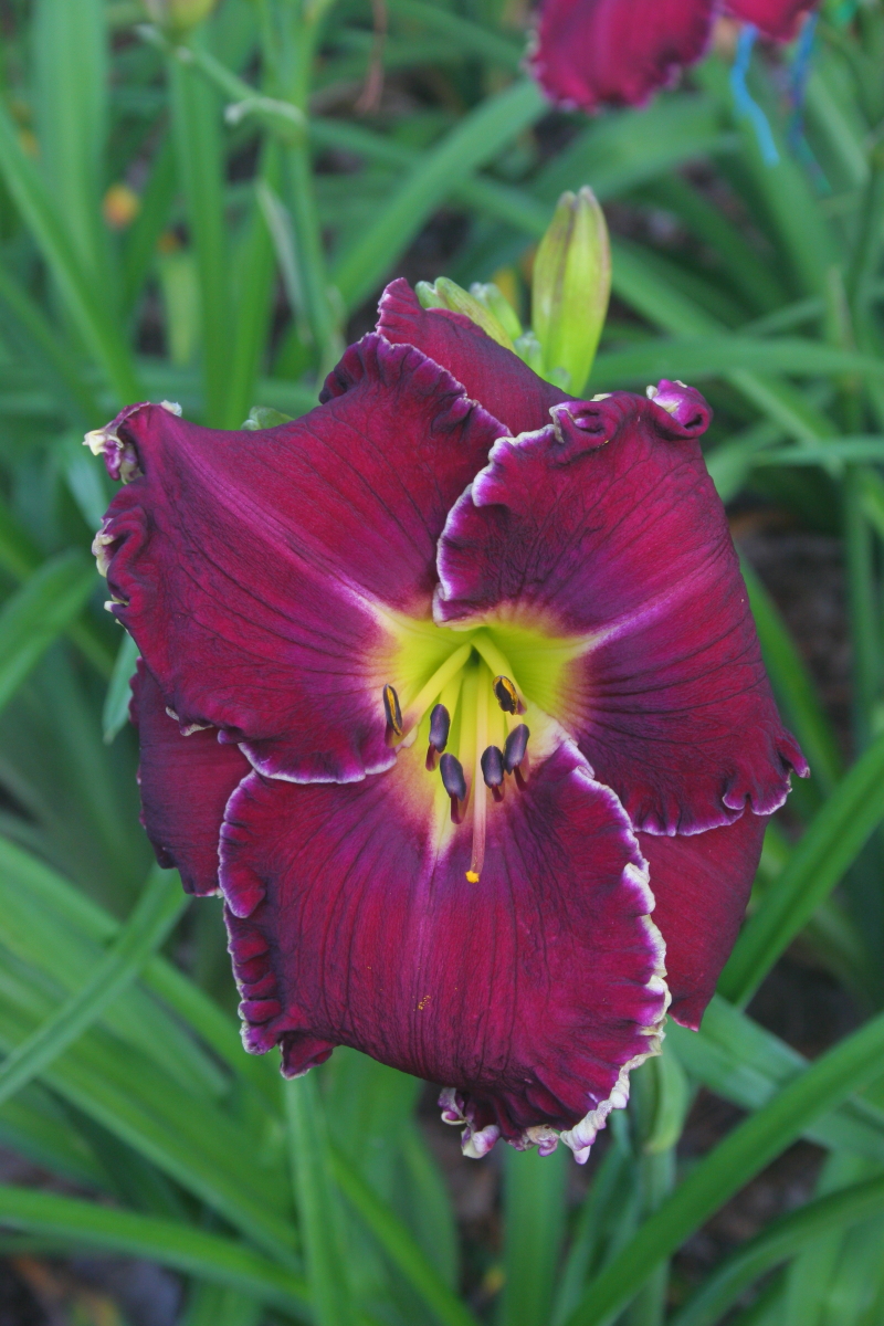 LC2 Pinewood Gardens