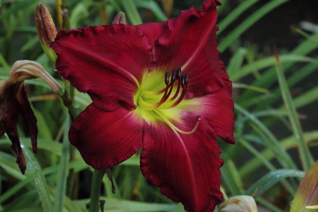 351a Pinewood Gardens